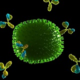 Sciepro/Science Photo Library