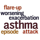 Wordle.net