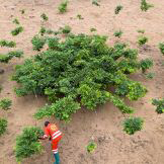 Image credit: Axel Fassio / CIFOR